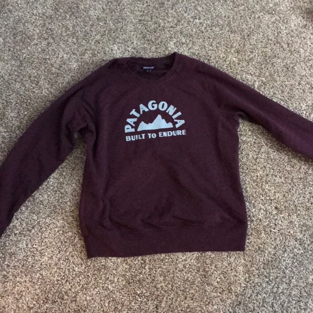 Patagonia non hooded sweatshirt
